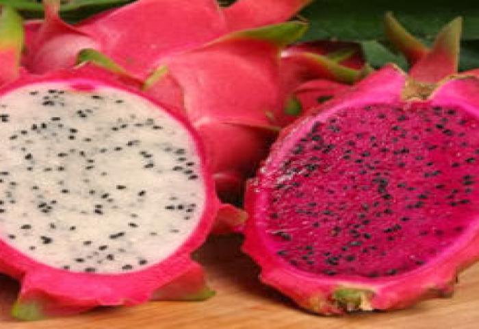 Buah Naga Sehat Untuk Jantung Dan Tulang
